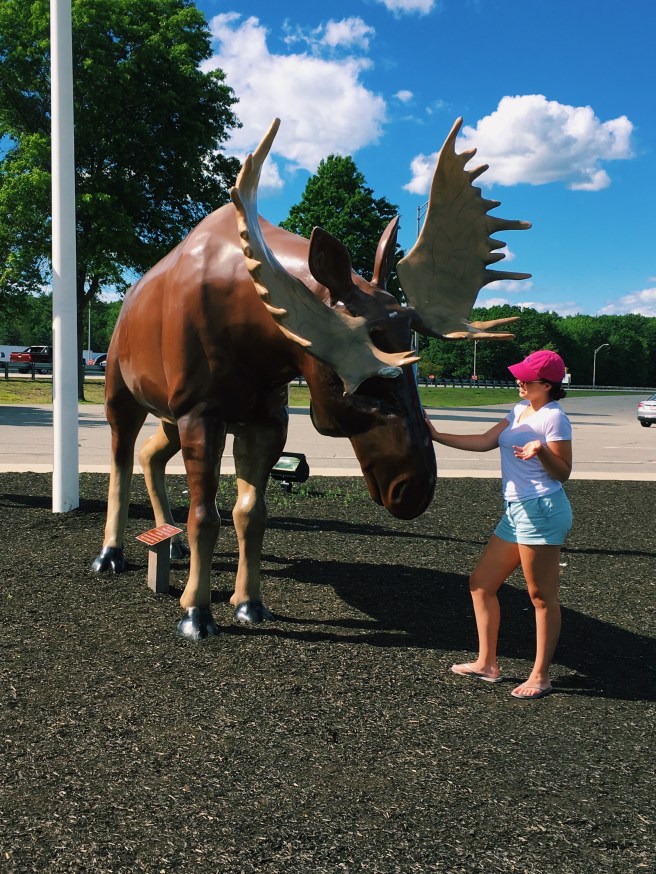 Processed with VSCO with c1 preset