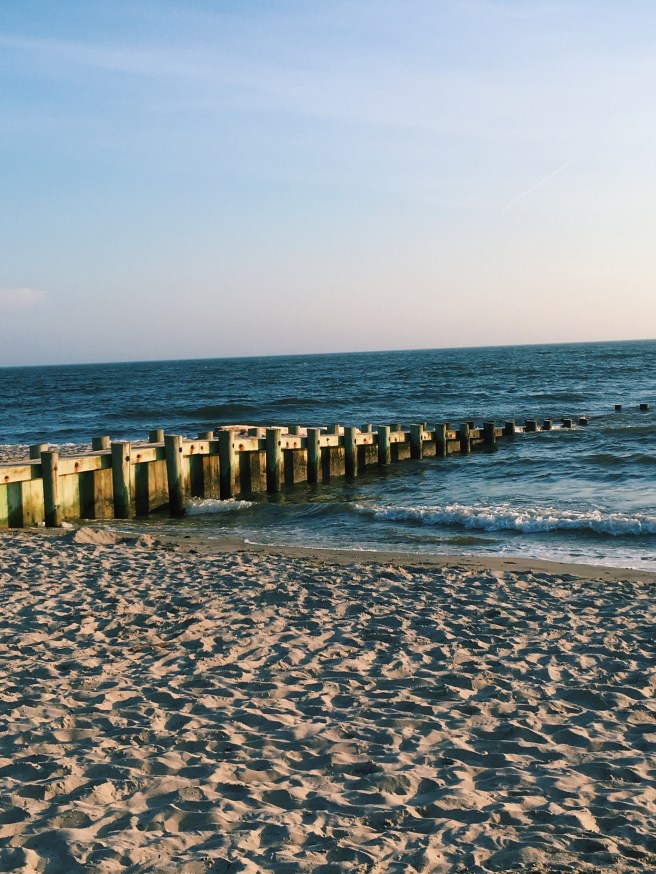 Processed with VSCO with c1 preset