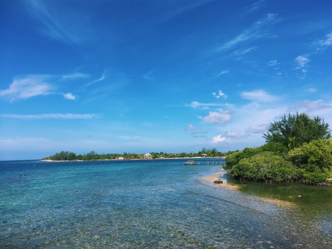 Processed with VSCO with c1 preset