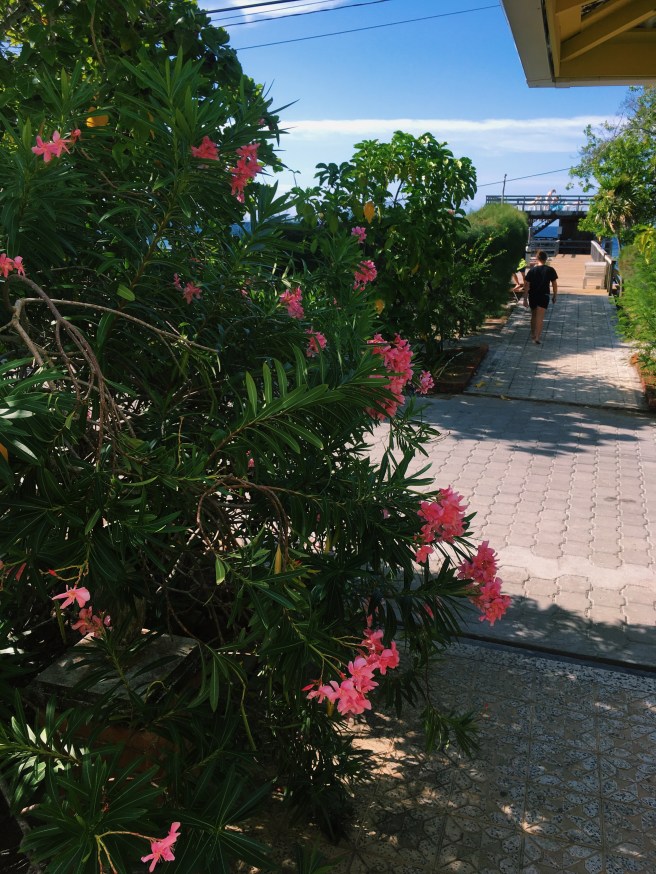 Processed with VSCO with c1 preset