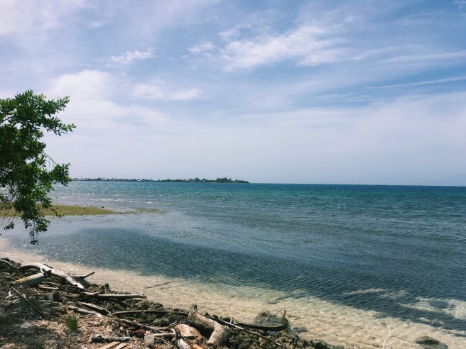 Processed with VSCO with c1 preset