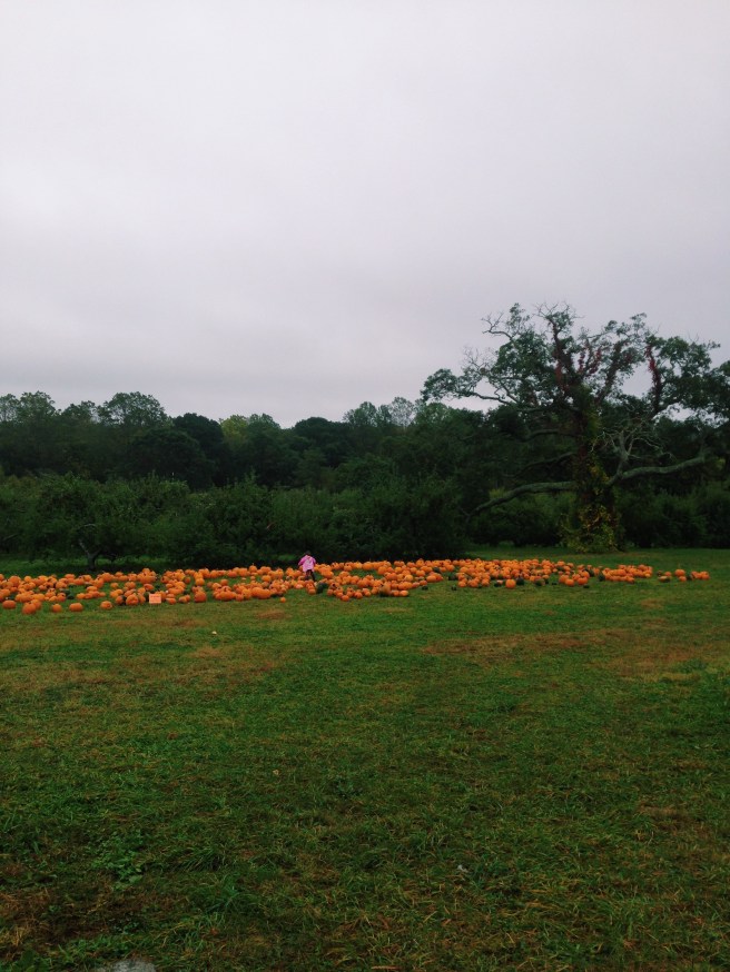 Processed with VSCO with c1 preset