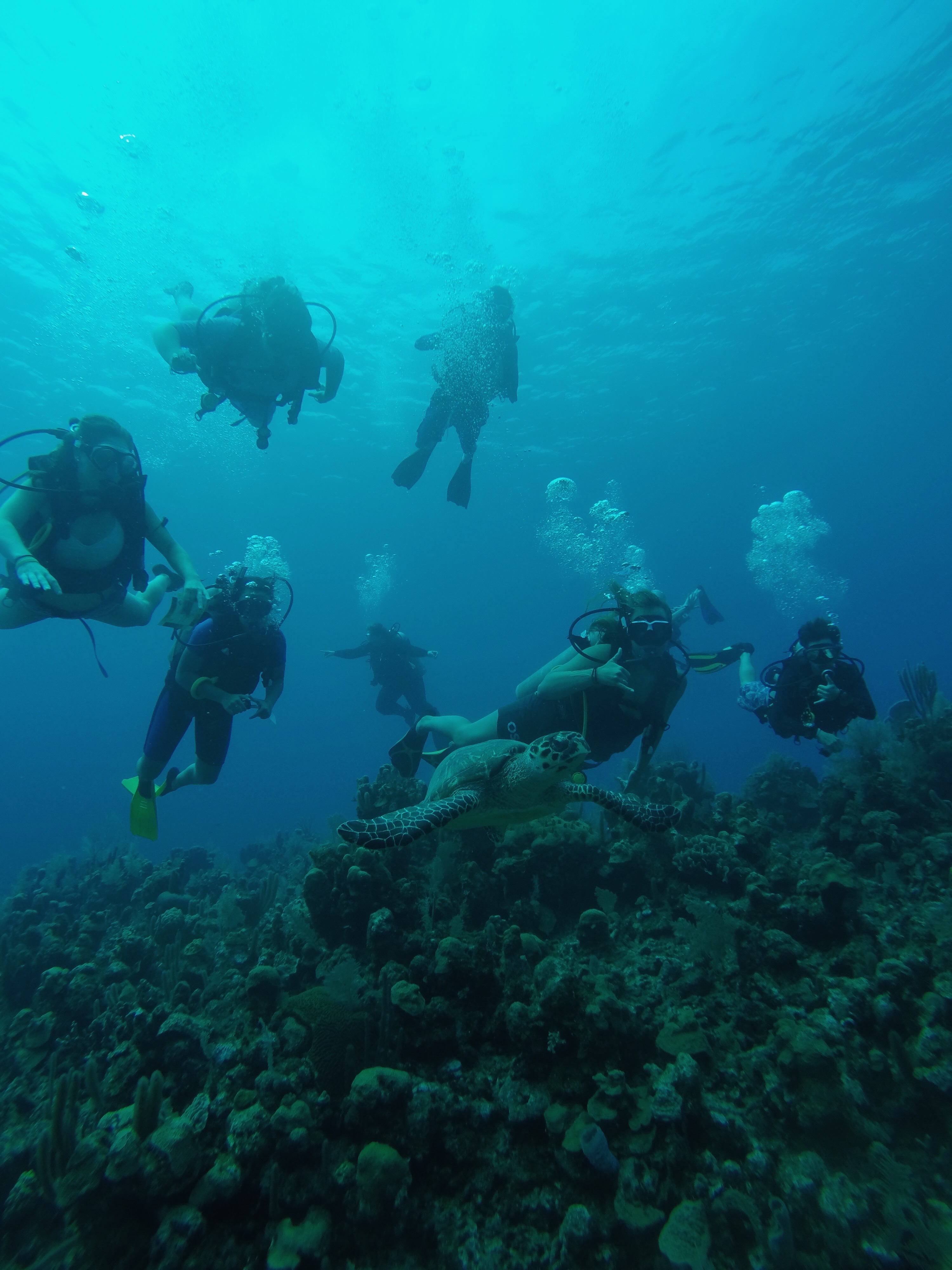 DCIM100GOPROGOPR4353. Processed with VSCO with c1 preset